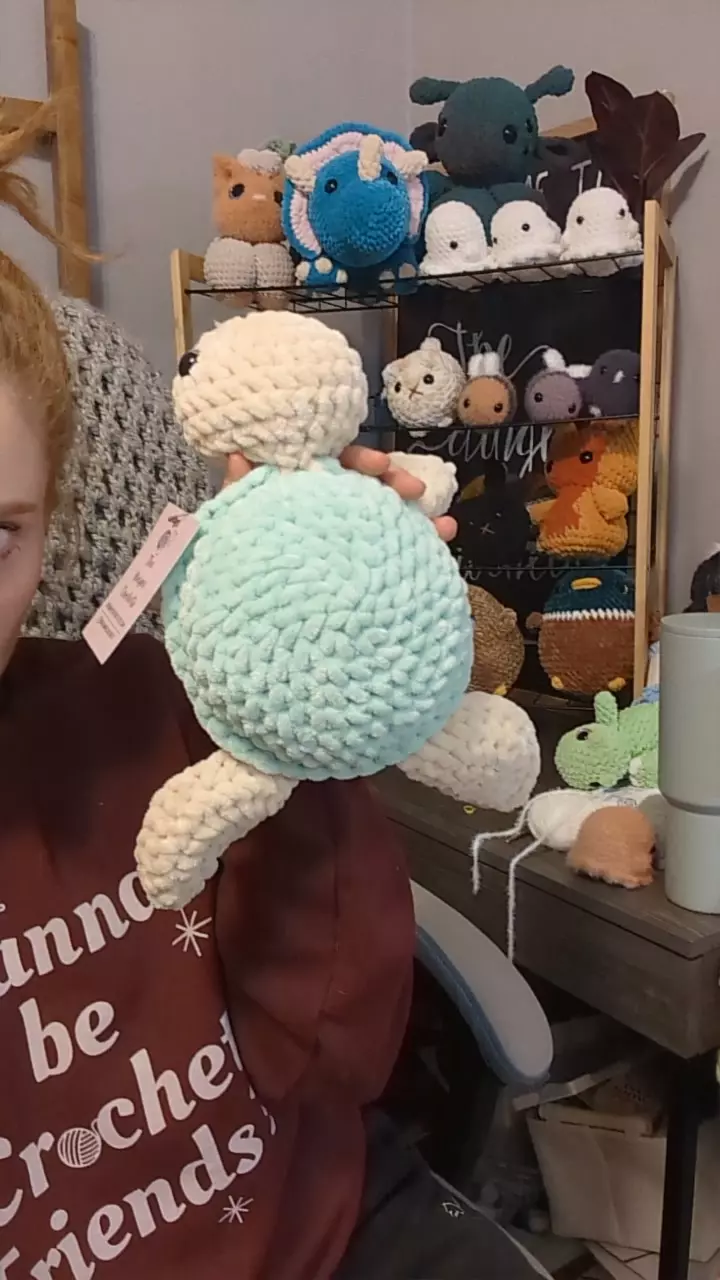mint turtle thumbnail