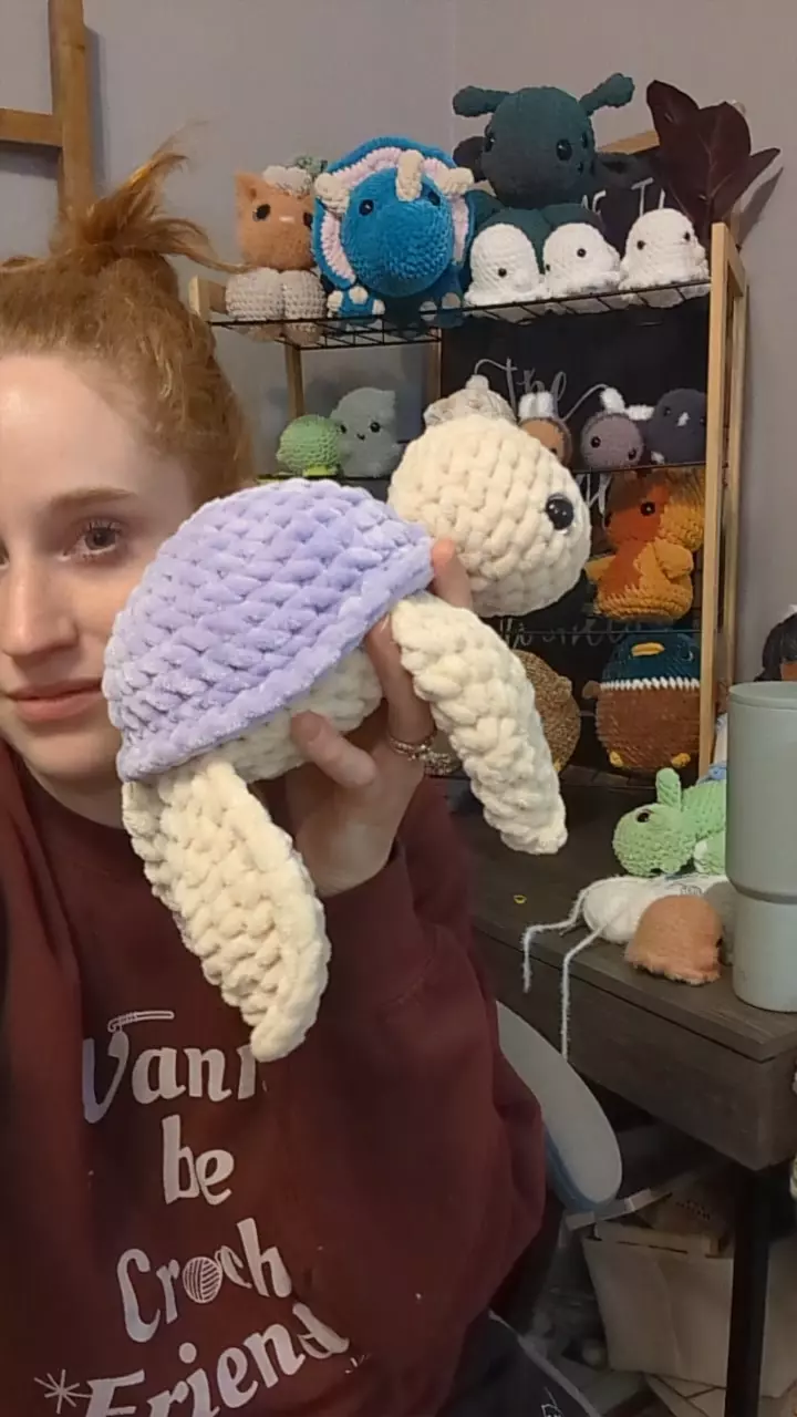 purple turtle thumbnail