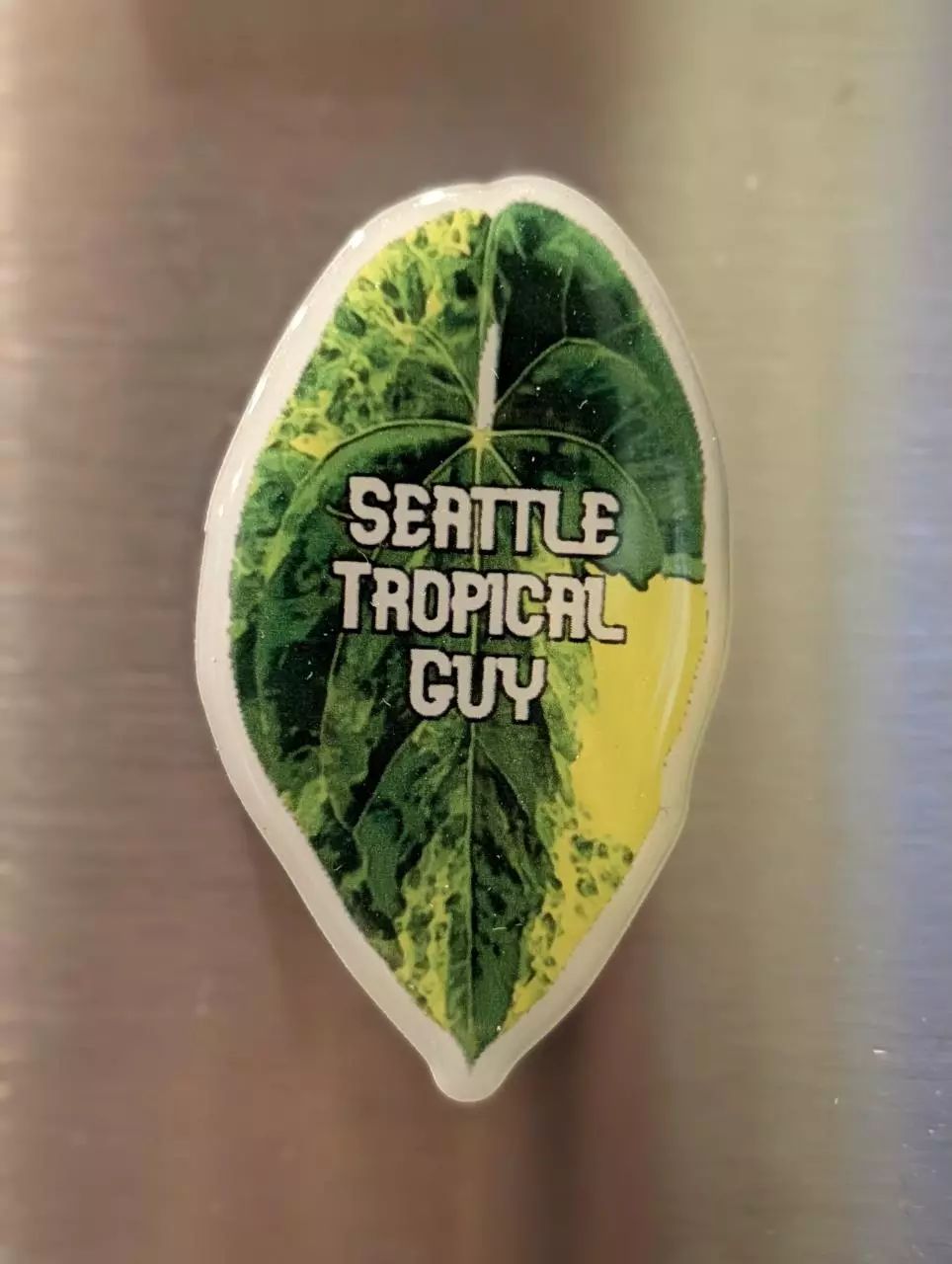 addon Magnet thumbnail