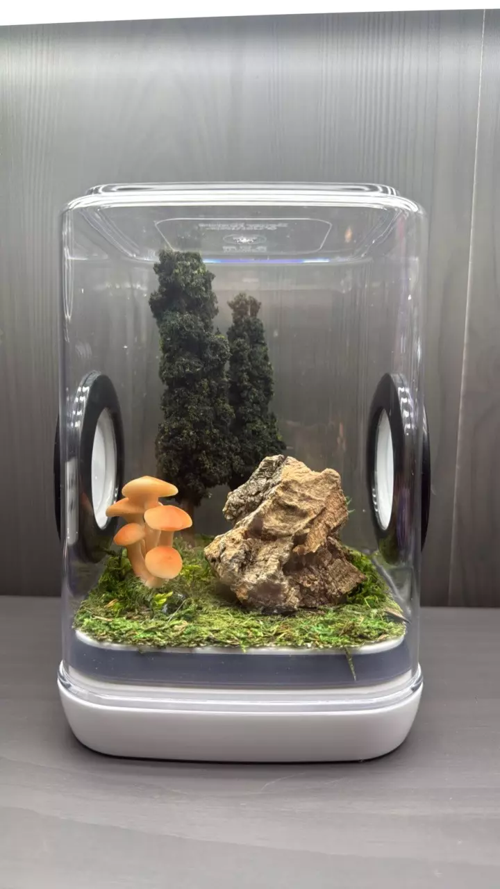 Nature themed thumbnail