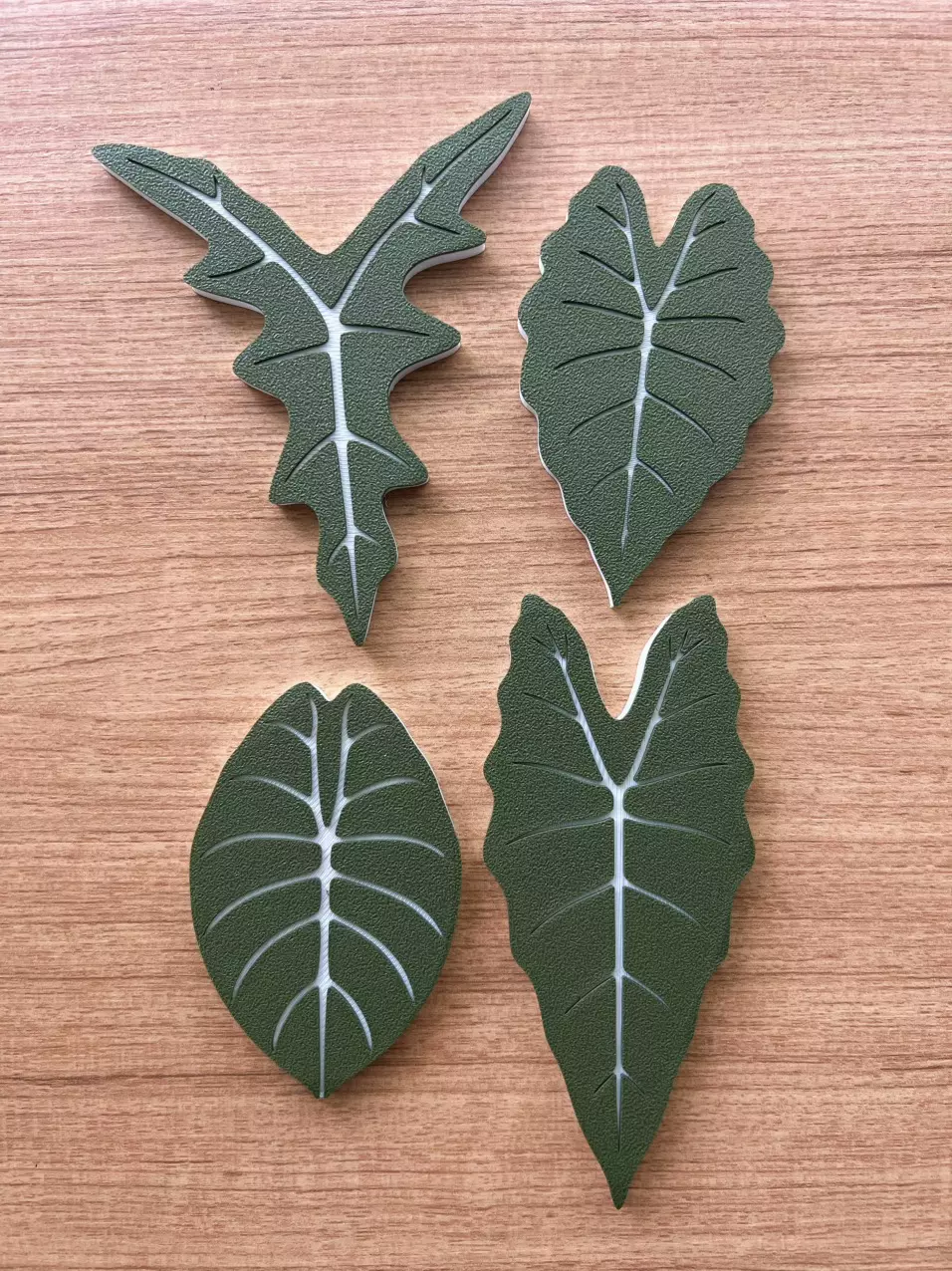 Pack of 4 Assorted Fridge Magnets - Alocasia Edition thumbnail