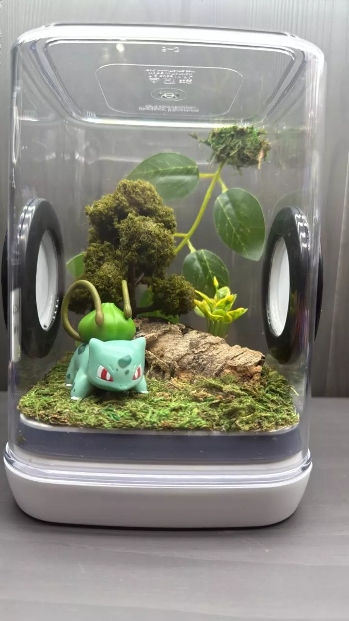 Bulbasaur enclosure thumbnail
