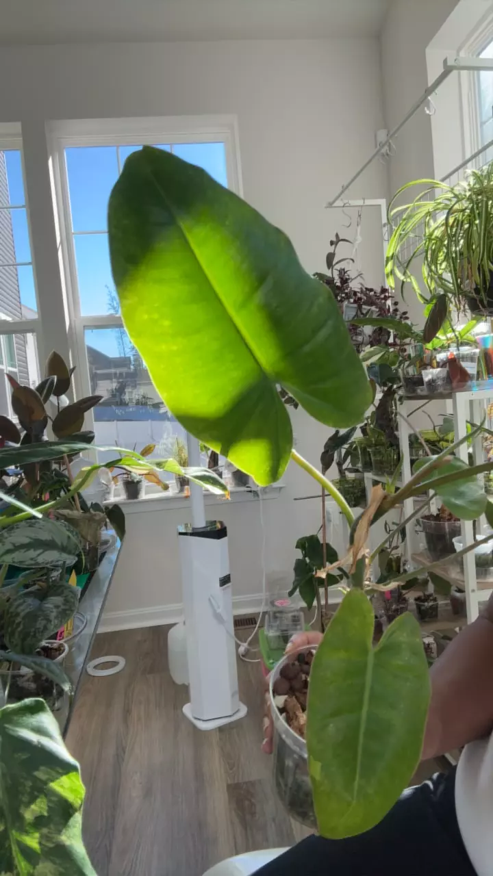 what you see? thumbnail