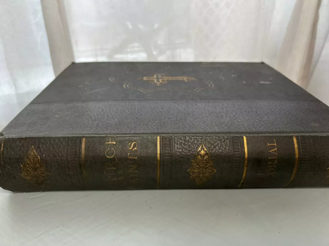 Antique “Churches and Saints Pictorial” – Illustrated Architectural Book (c. 189 thumbnail