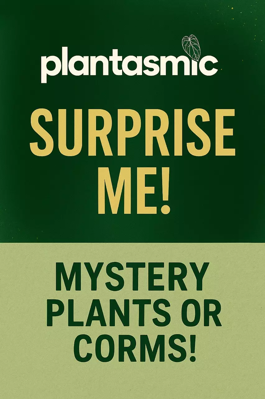 Surprise Me! thumbnail