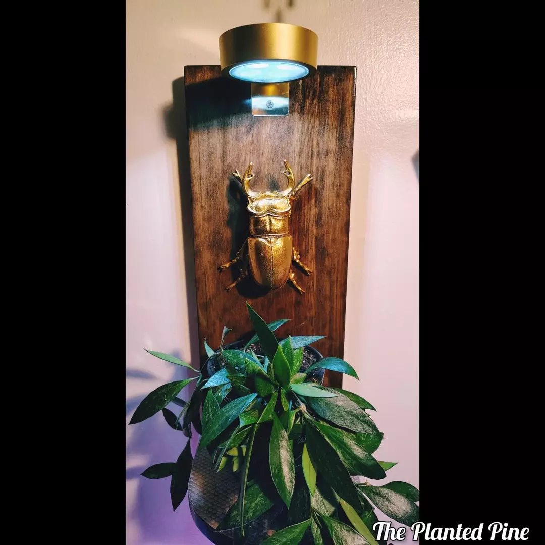 Golden Beetle Grow Light Hanger thumbnail