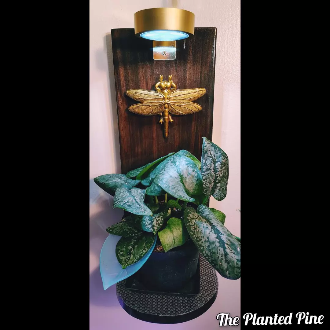 Golden Dragonfly Grow Light Hanger thumbnail