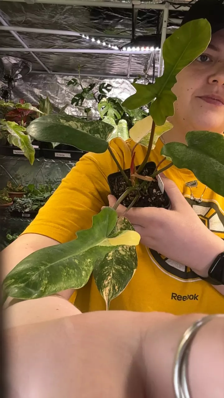 fl beauty x mayoi thumbnail