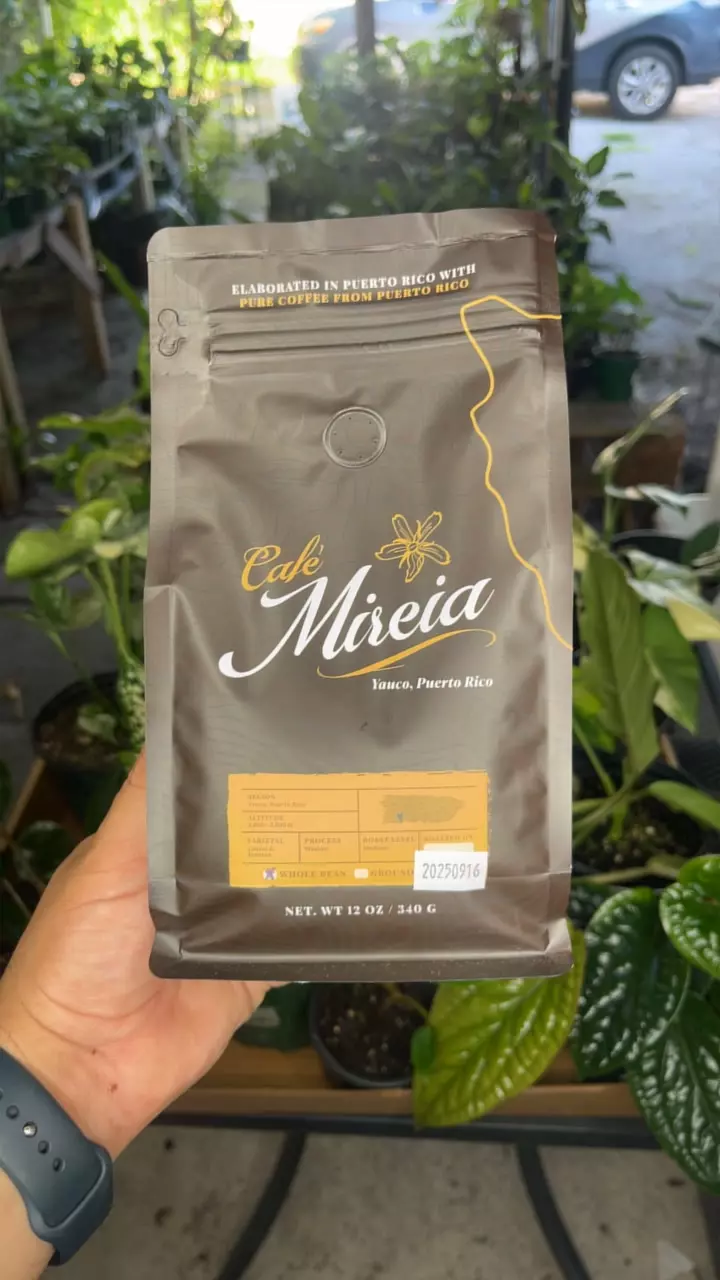café Mireia thumbnail