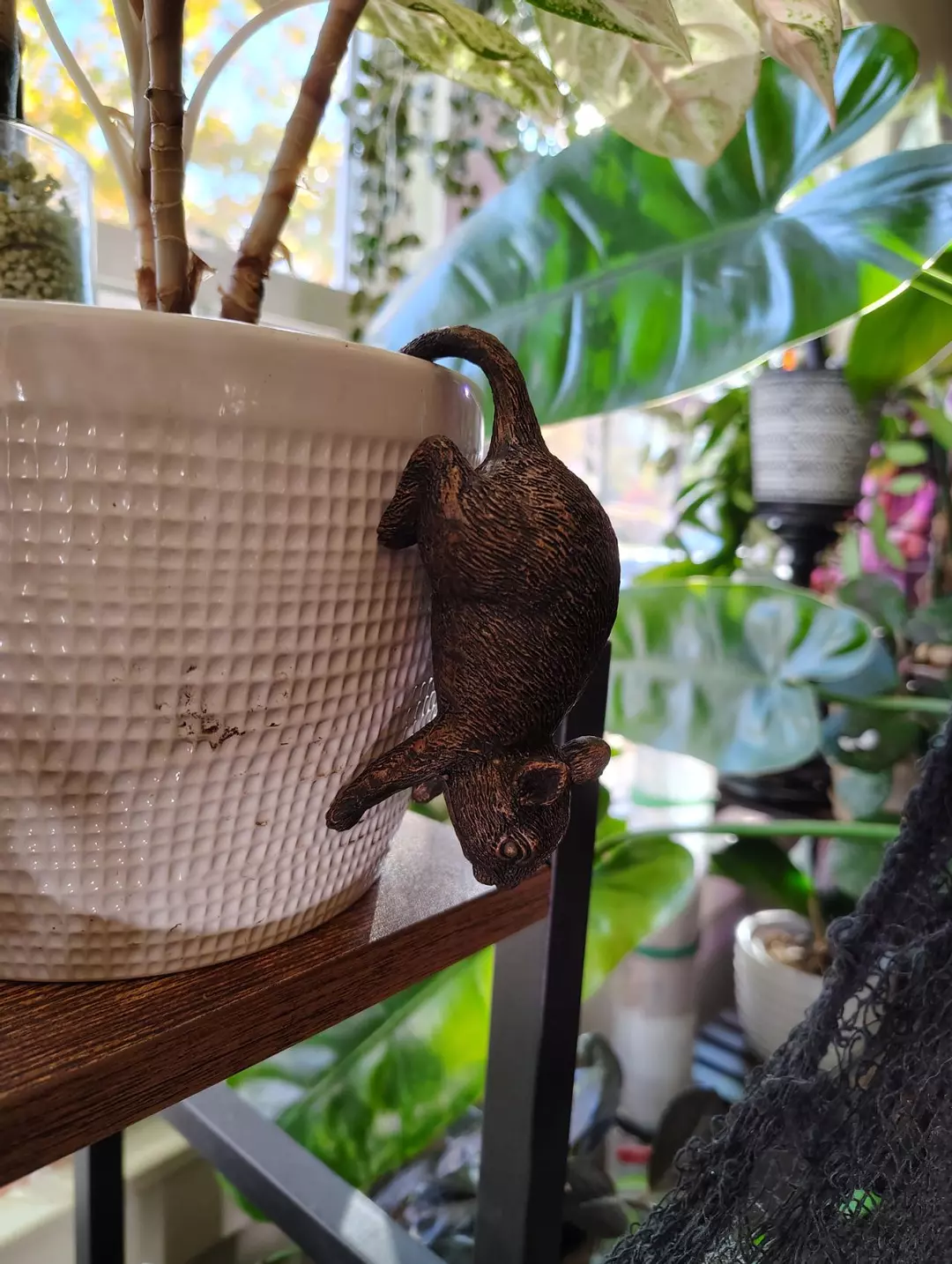 mouse pot pal thumbnail