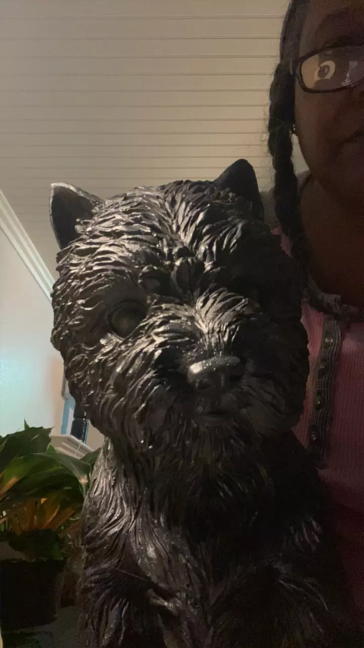 Black Yorkie Planter thumbnail