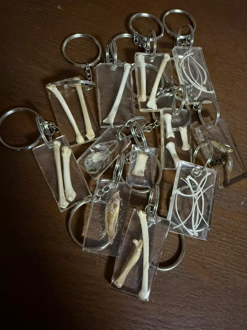 mystery resin keychain ( bones/insects/fish/etc thumbnail