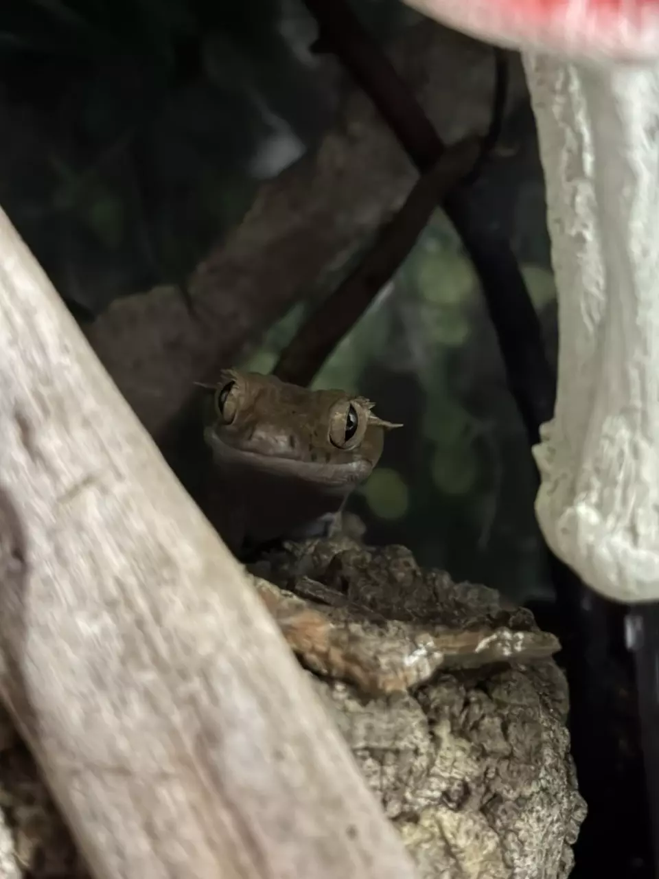 PLEASE HOLD MY BOX thumbnail