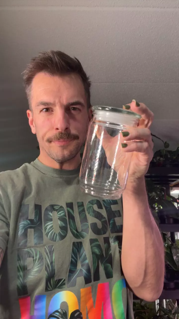 HPH Terrarium Kit (SMALL) 1 plant plus layers thumbnail