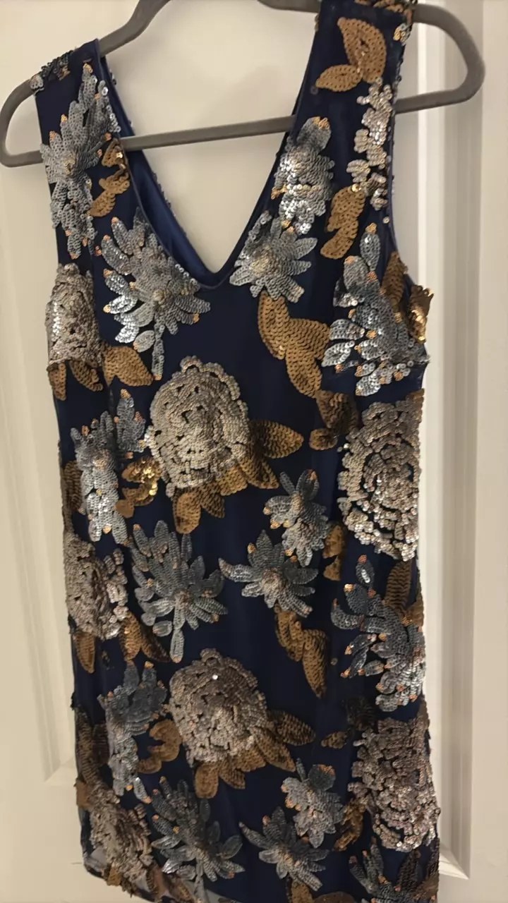 Alya Sequin Dress Small thumbnail