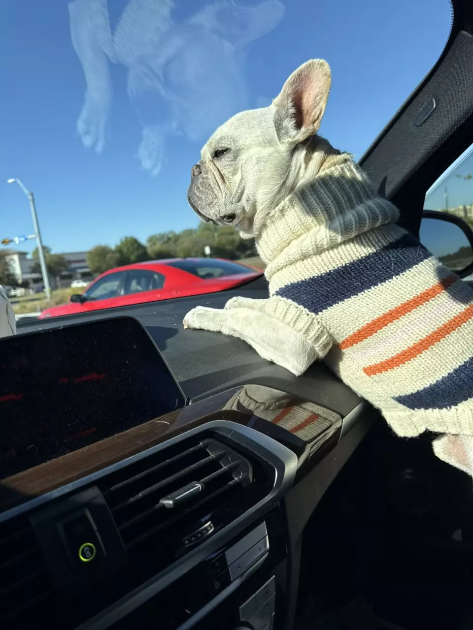 Alaska and Hawaii Shipping thumbnail