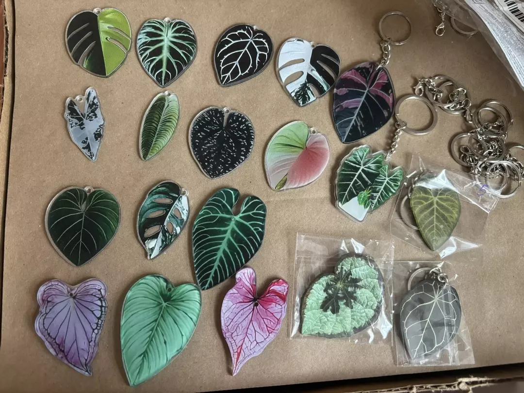 MYSTERY PLANT KEYCHAIN thumbnail