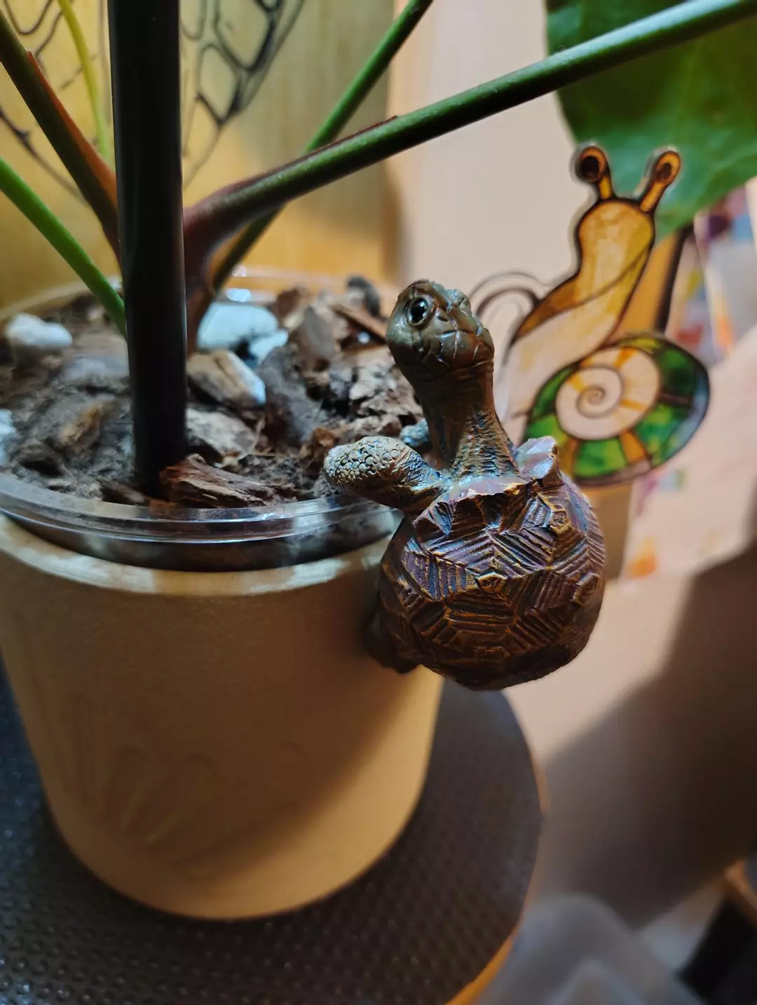 Tortoise Pot Pal thumbnail