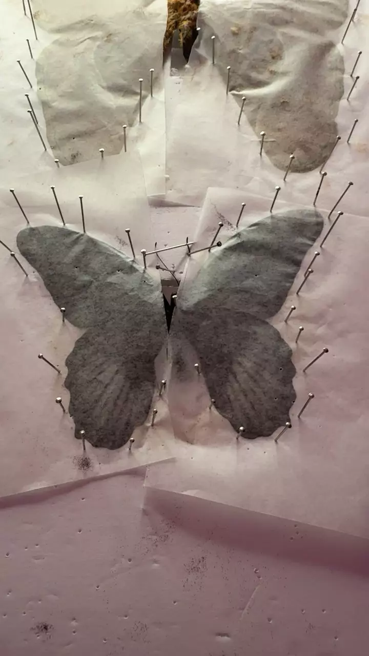 Scarlett Mormon male in frame thumbnail