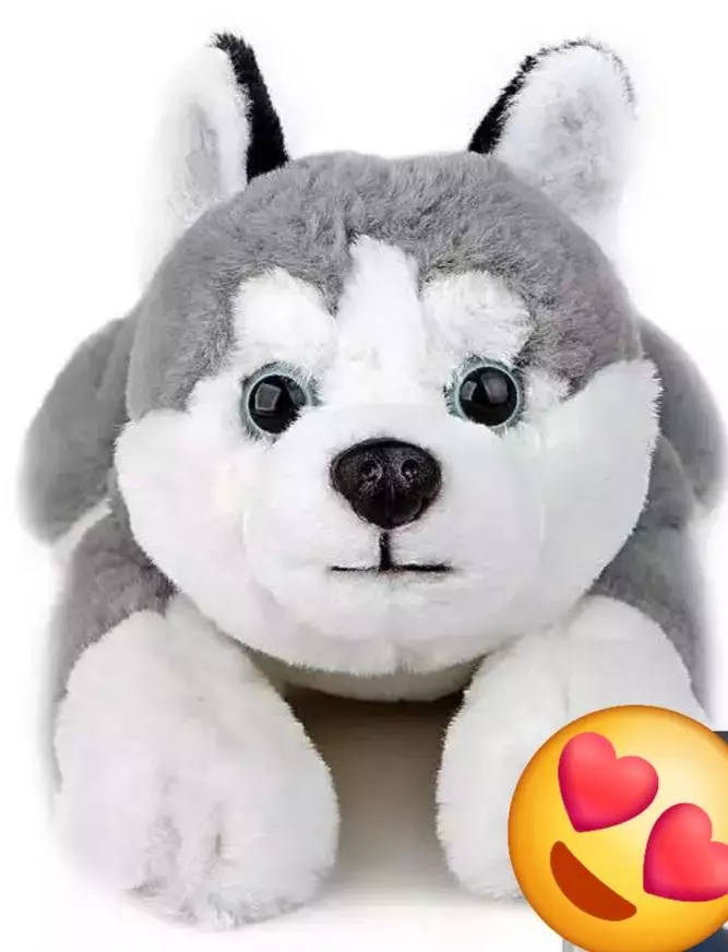 Adopt a Pet thumbnail