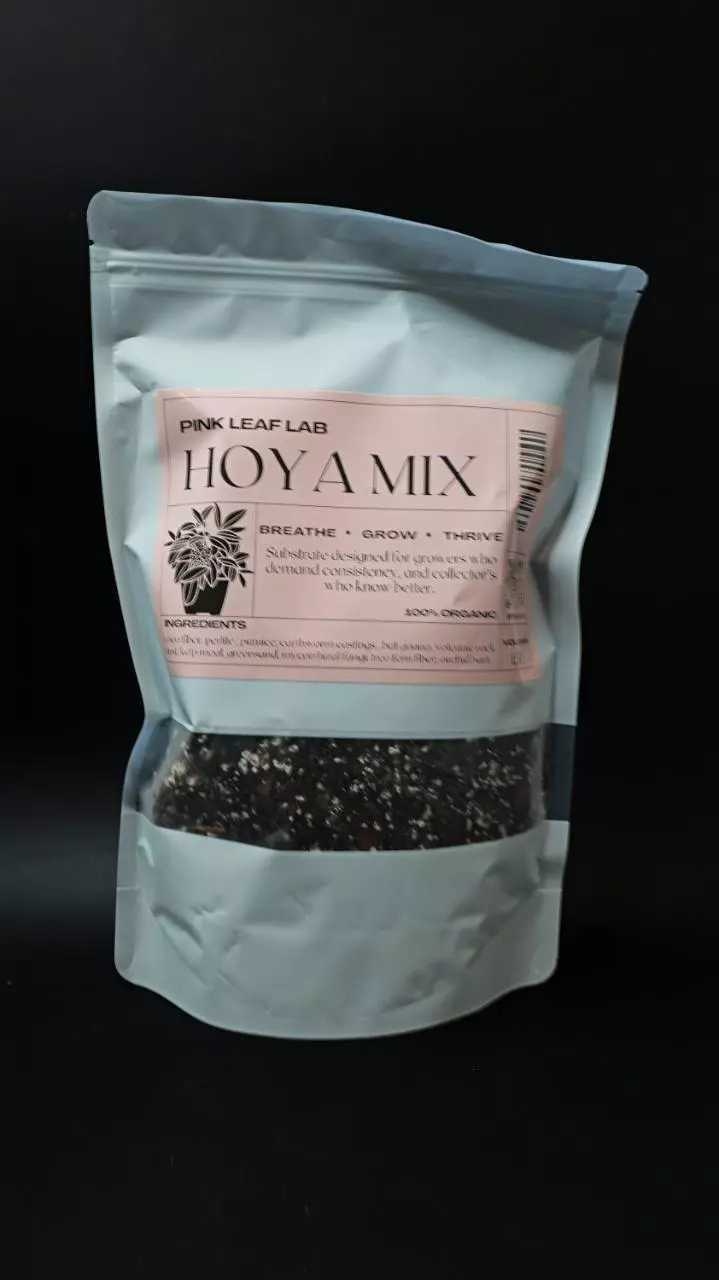 Hoya mix thumbnail