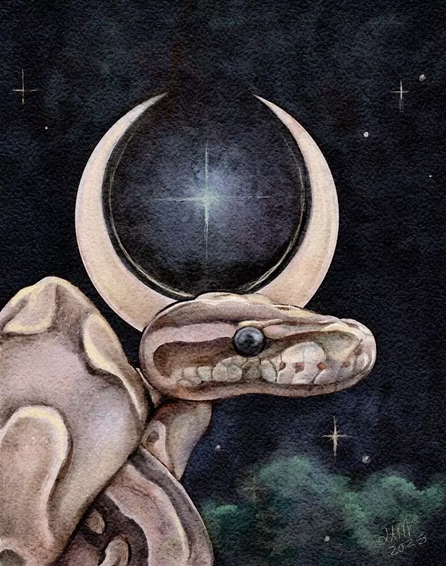 Banana Moon ball python watercolor painting print 8x10 thumbnail