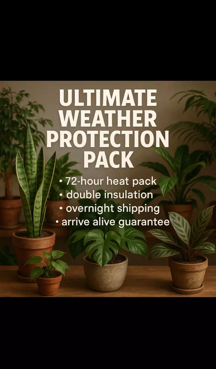 ULTIMATE WEATHER PROTECTION PACK! (see description!!) thumbnail
