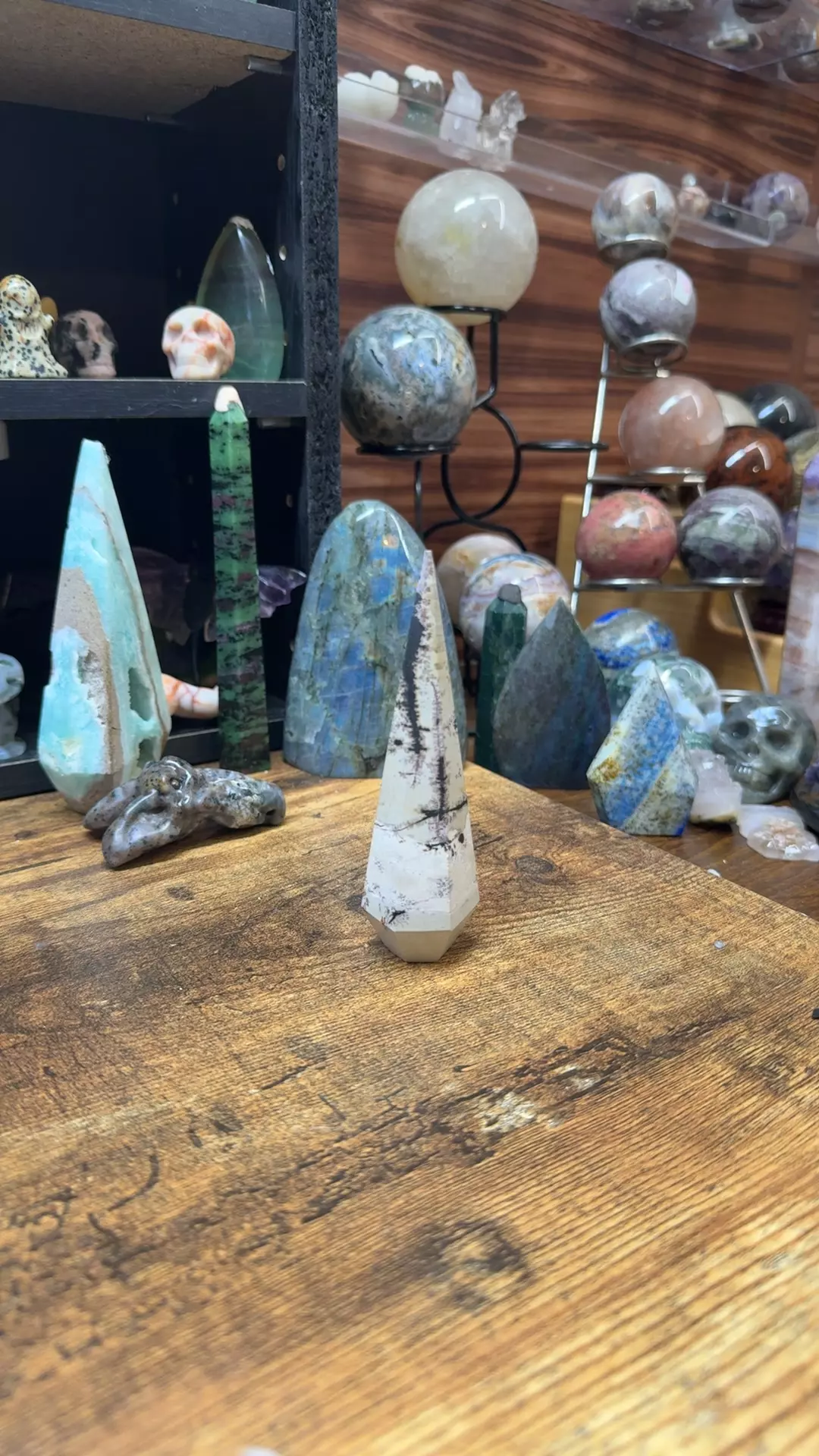 picture jasper thumbnail