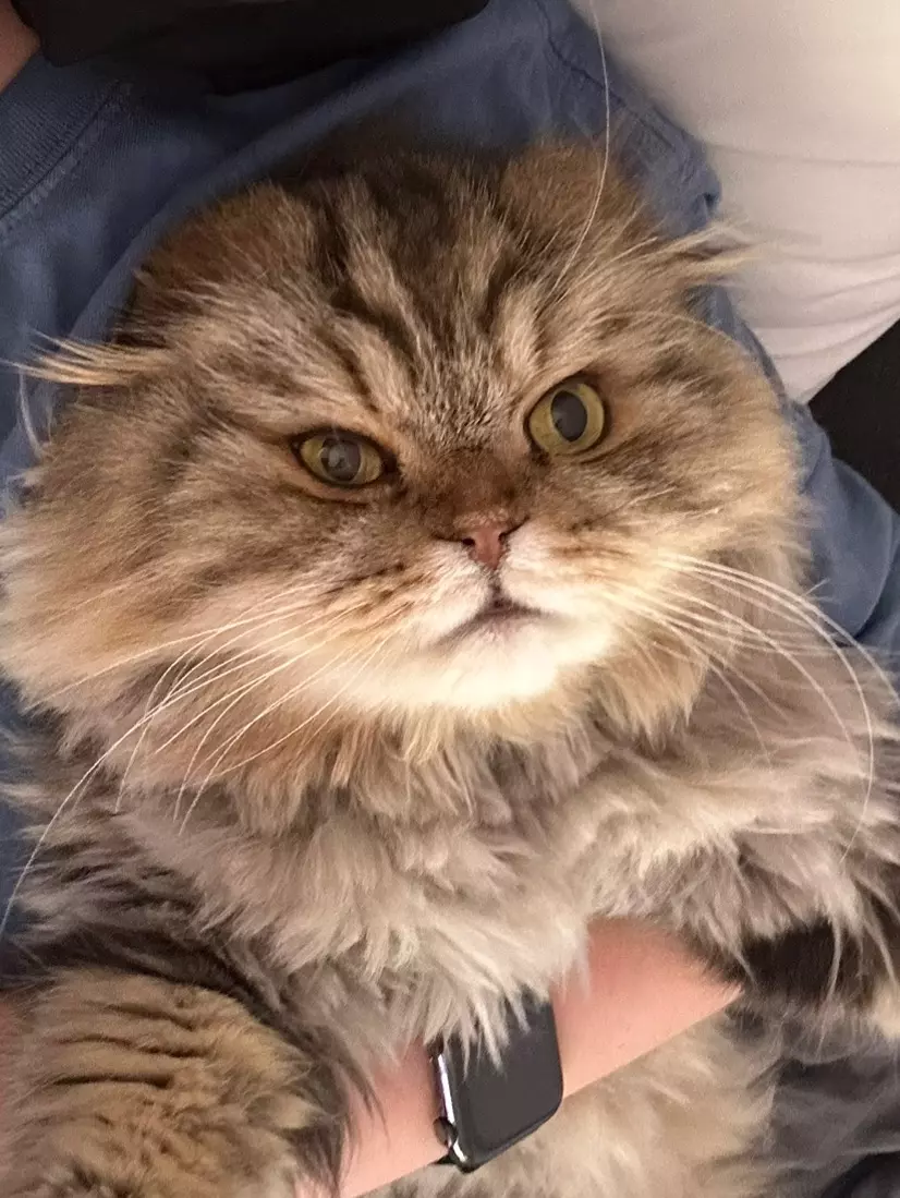 Hold shipping thumbnail