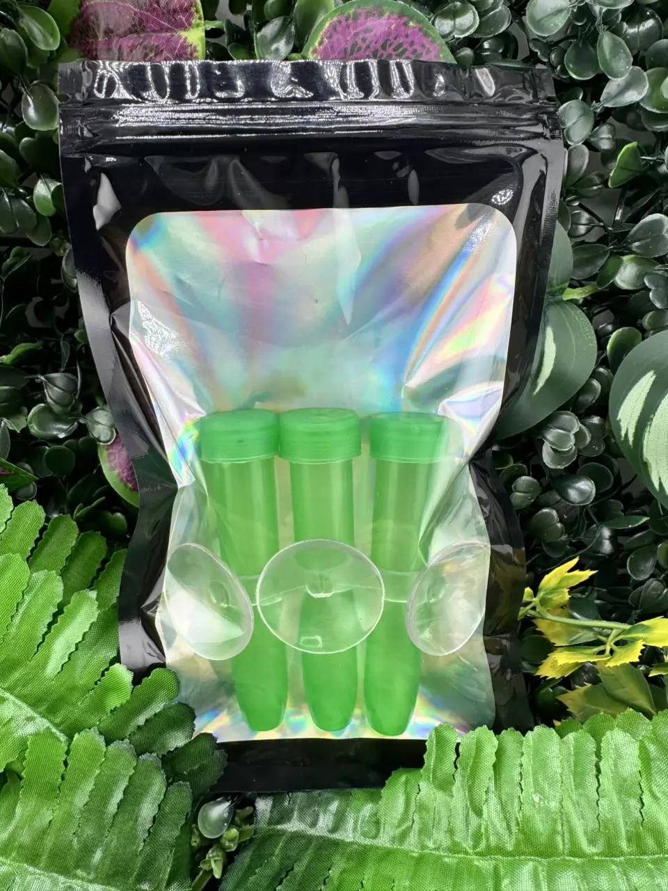 3 pack - Mourning Gecko Egg laying tubes thumbnail