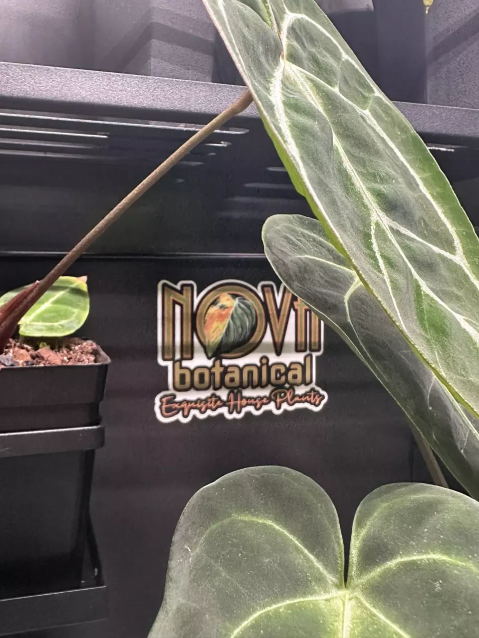 15pc Sticker Bundle/Magnet thumbnail