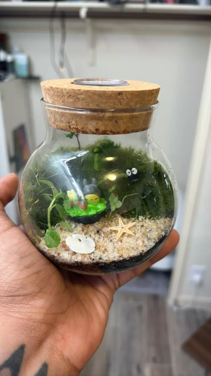 Totoro light jar thumbnail