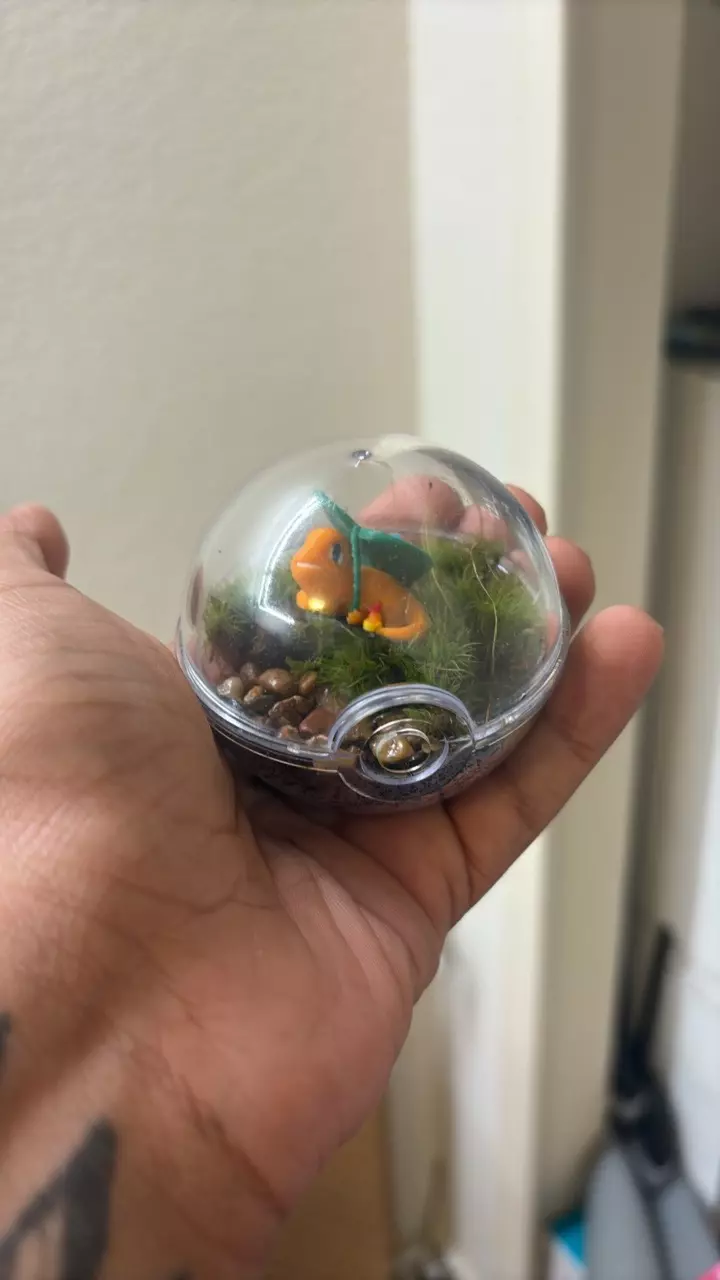 Charmander Pokeball thumbnail