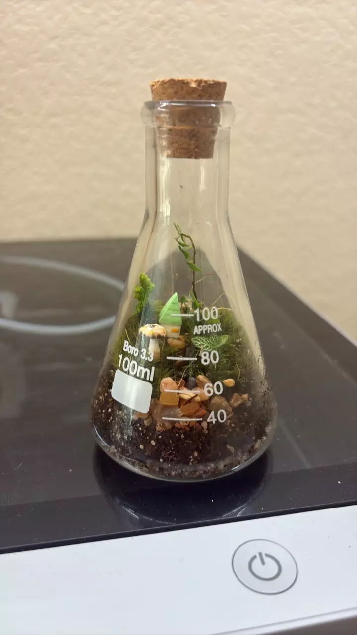 100ML Flask Terrarium thumbnail