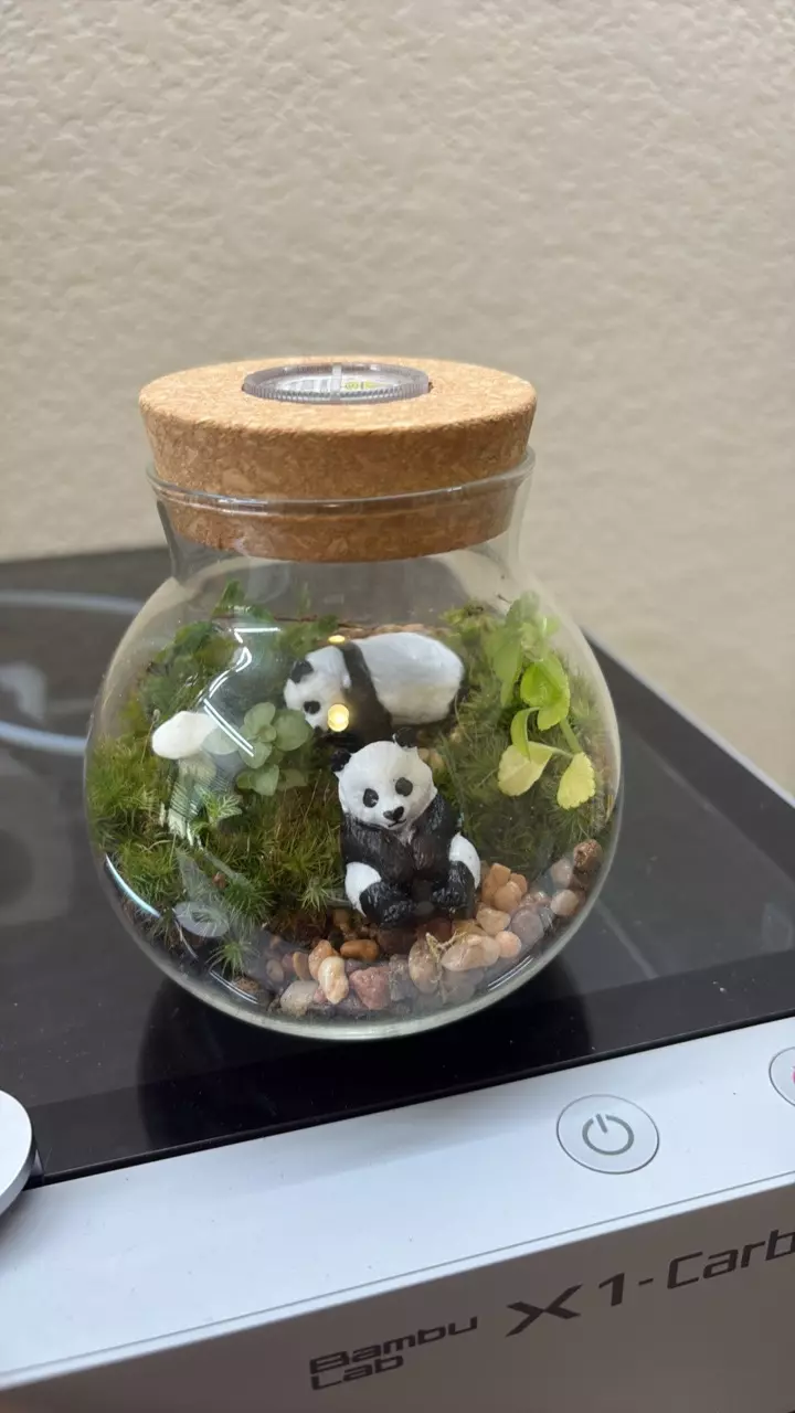 Panda light Jar thumbnail