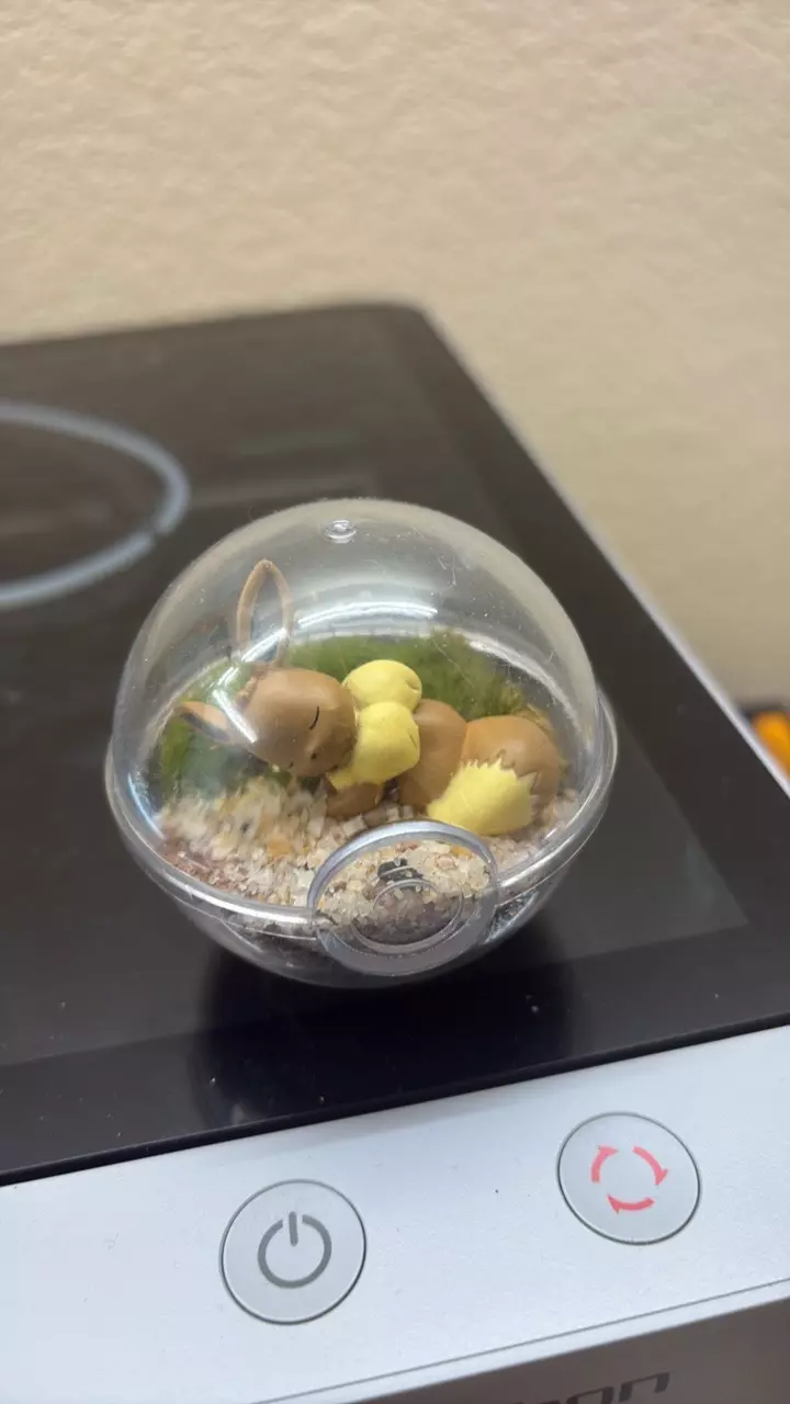 Eevee Pokeball Terrarium thumbnail