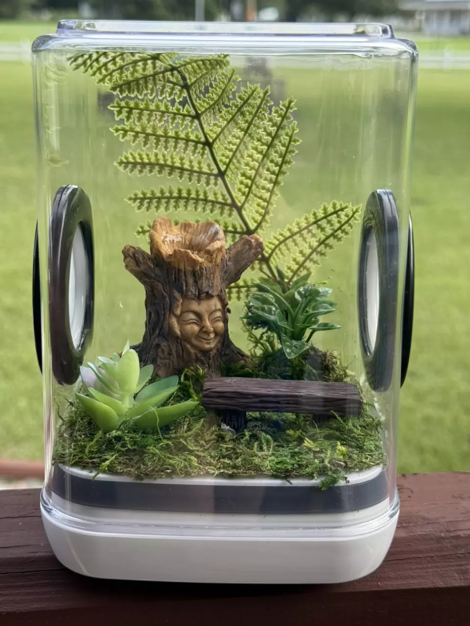 Smiling tree enclosure thumbnail