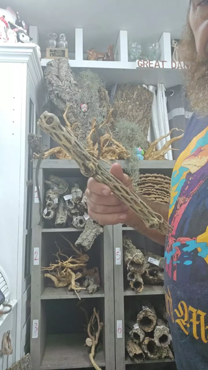 Cholla wood thumbnail