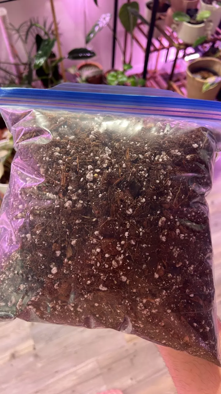 Camerons Jungle Chunky-Boi Mix 2lbs. #5 thumbnail