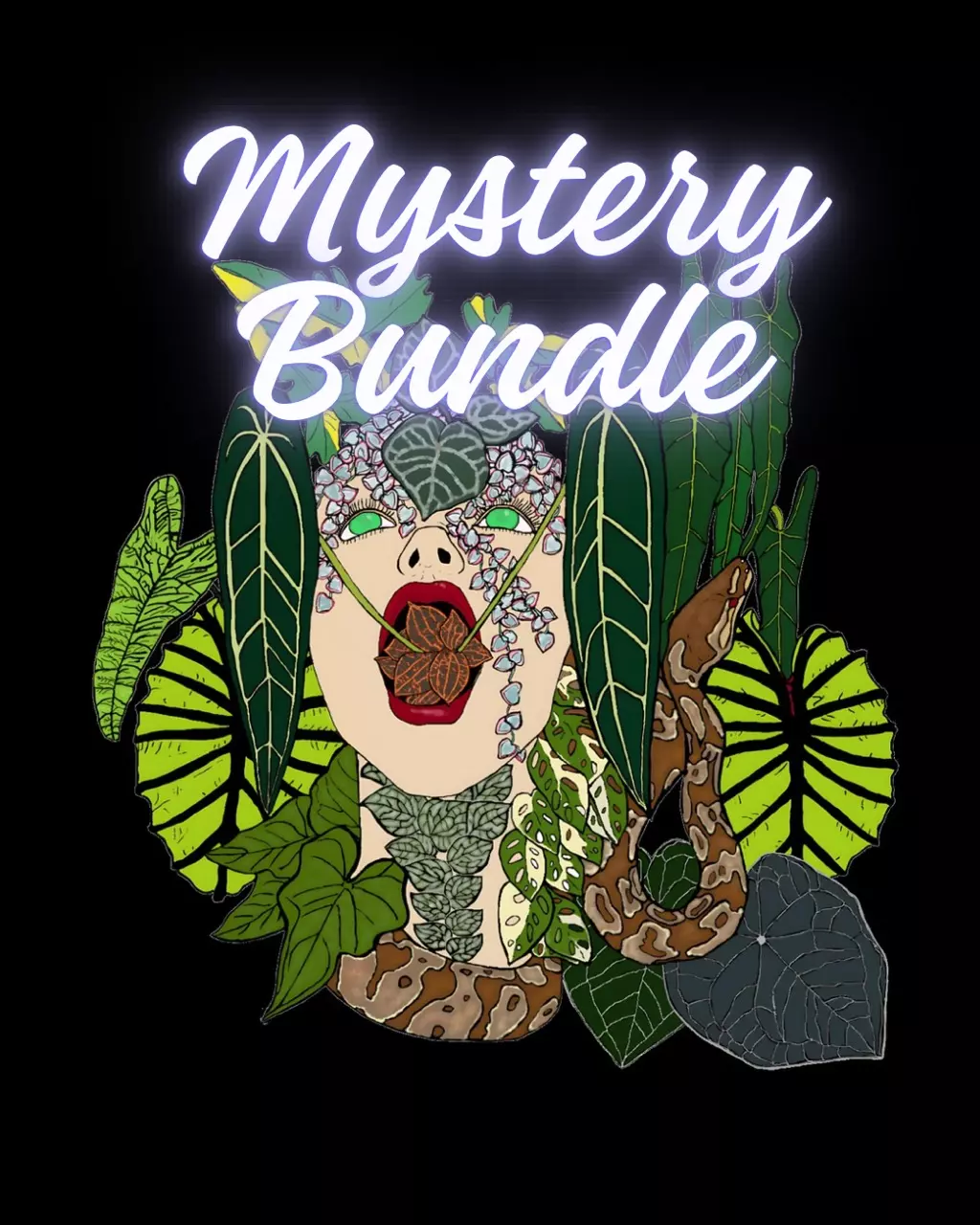 $100 Mystery Bundle thumbnail
