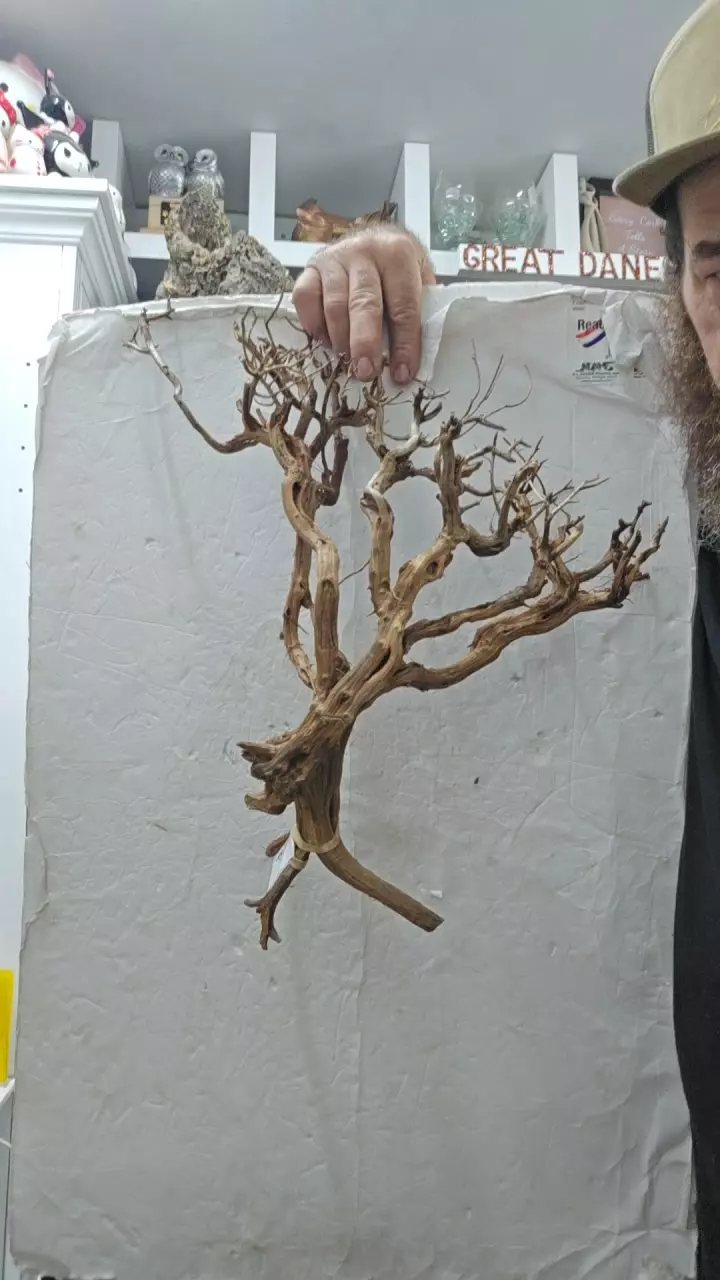 Xl tiger wood 1 thumbnail