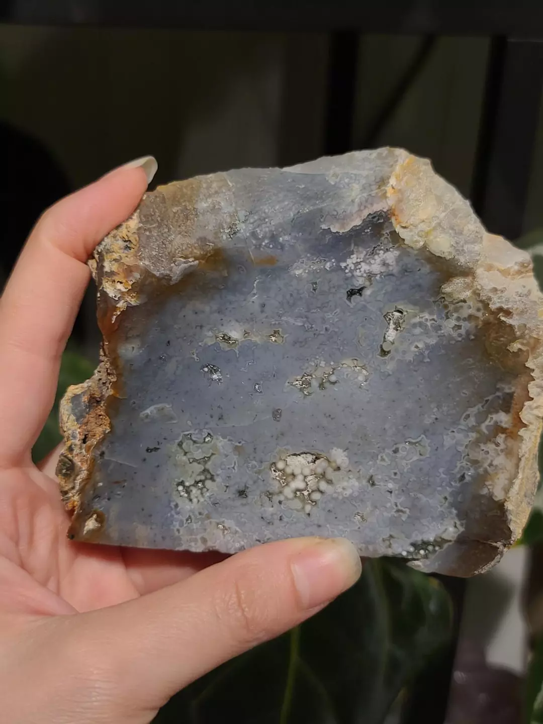 Ocean Jasper slab thumbnail