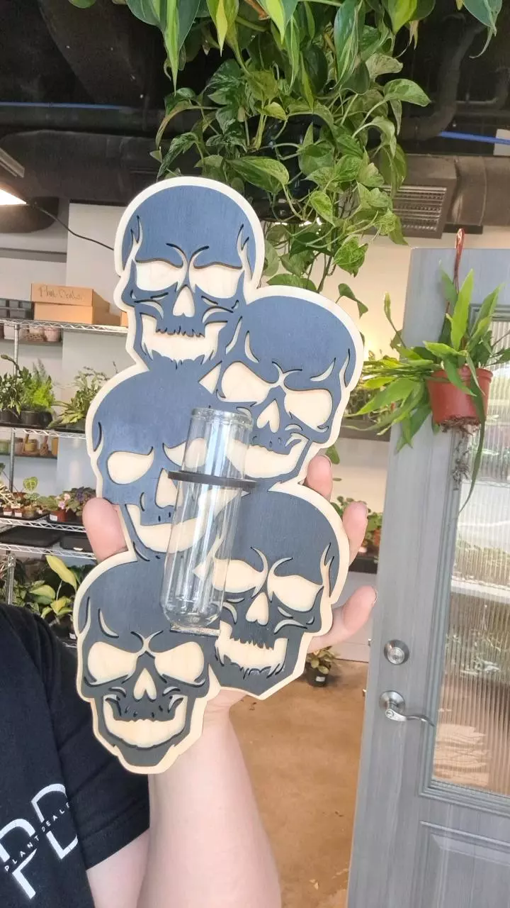 Cute wall skull prop! thumbnail