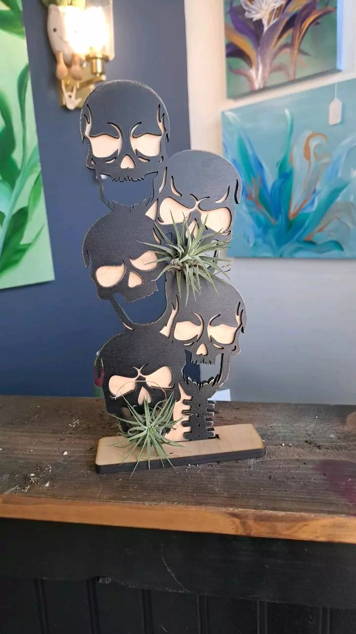 Skull air plants holder! thumbnail
