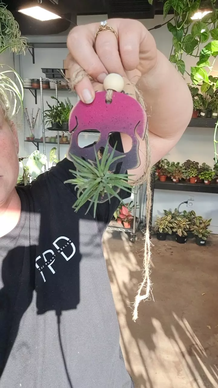 airplanes holder thumbnail