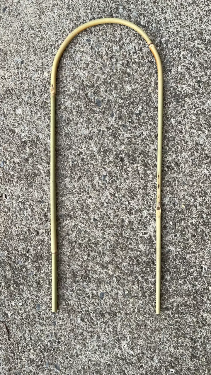 Receive 6 trellis thumbnail