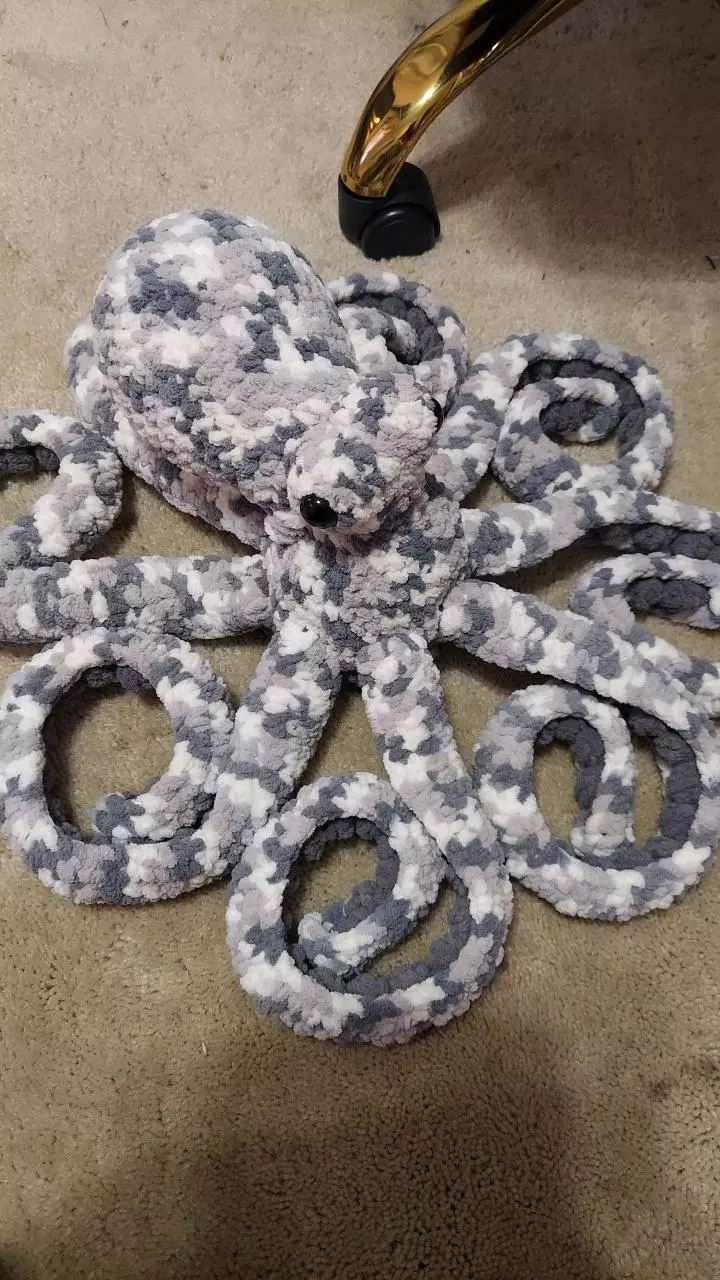 Jumbo anchor octopus thumbnail