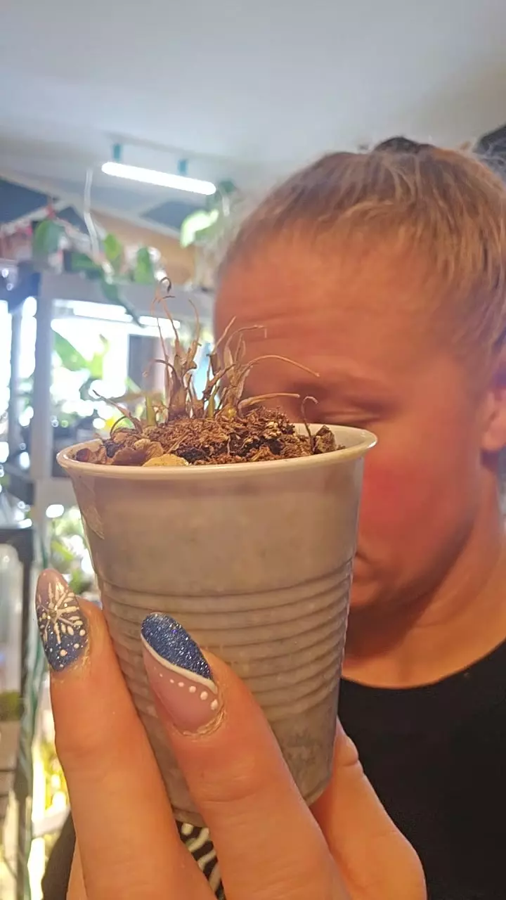 rehab granny panties thumbnail