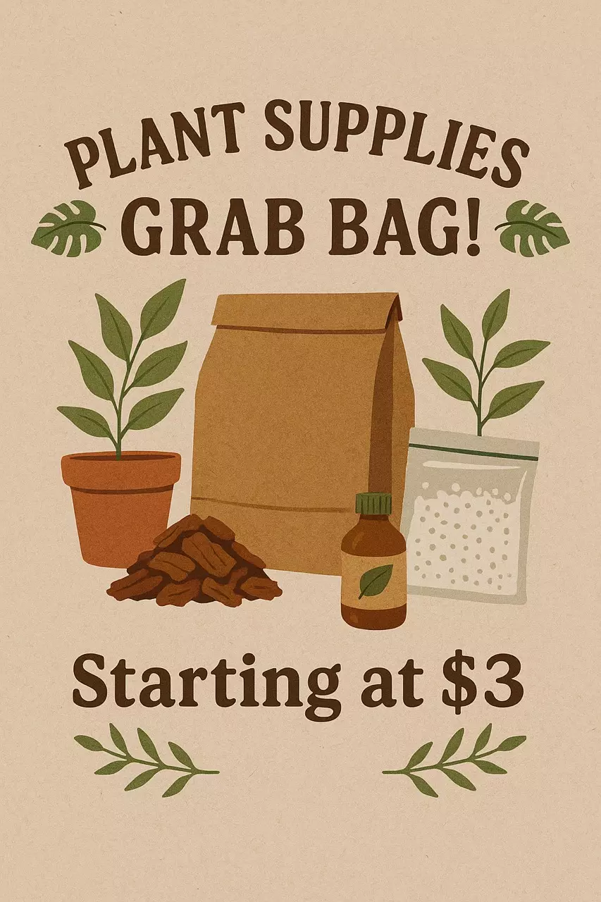 grab bag with plant essential thumbnail