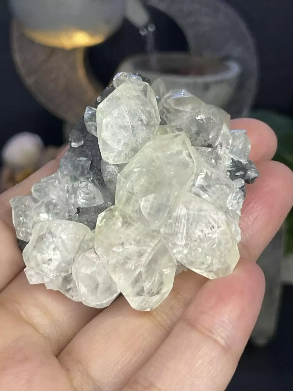 Yellow Diamond Dogtooth Calcite #3 thumbnail